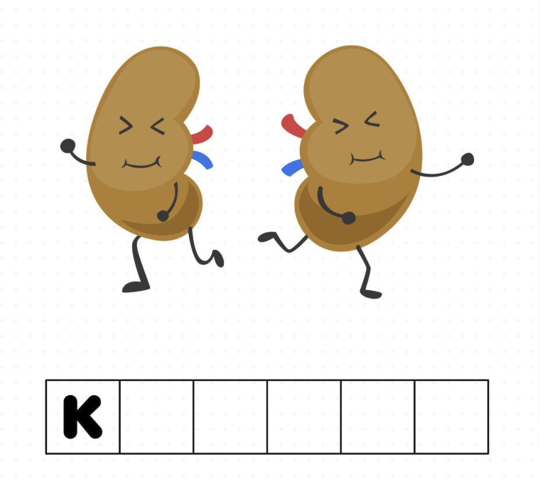 Two cartoon kidneys with a blank word puzzle starting with the letter K
